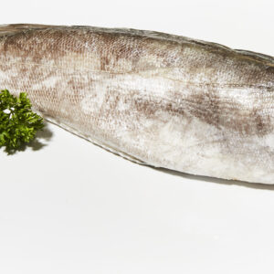 MERLUZA HGT CONGELADA ABORDO