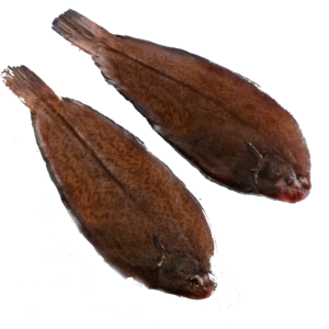 LENGUADO NEGRO CONGELADO ENVUELTO