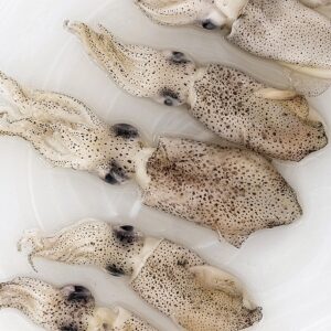 PUNTILLA JAPÓNICA CONGELADO IQF