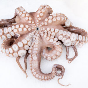 PULPO ENTERO CRUDO CONGELADO