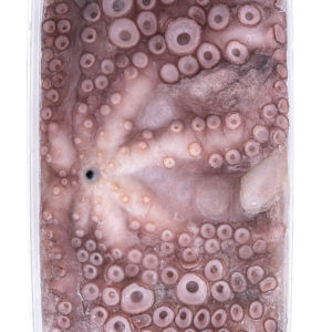 PULPO ENTERO CRUDO CONGELADO IQF EN BANDEJA
